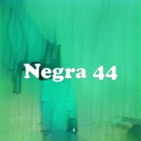 Negra 44 strain