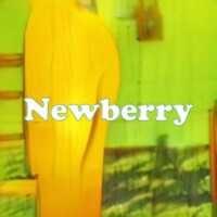 Newberry strain