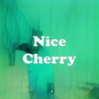 Nice Cherry strain