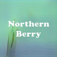 Northern Berry strain