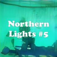 Northern Lights #5 strain