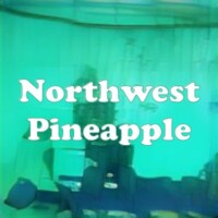 Northwest Pineapple strain