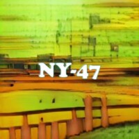 NY-47 strain