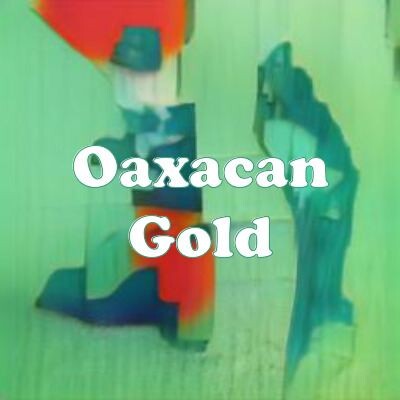 Oaxacan Gold strain