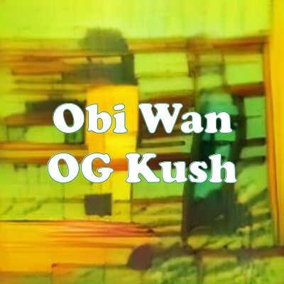 Obi Wan OG Kush strain