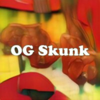 OG Skunk strain