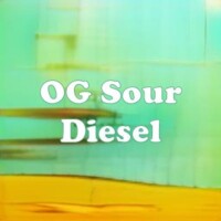 OG Sour Diesel strain