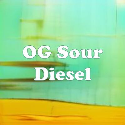 OG Sour Diesel strain