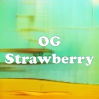 OG Strawberry strain
