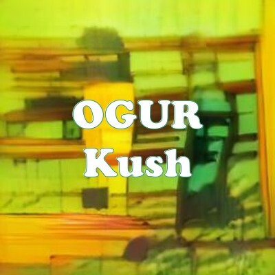 OGUR Kush strain
