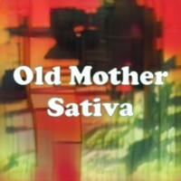 Old Mother Sativa strain