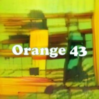 Orange 43 strain