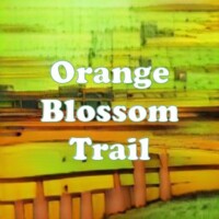 Orange Blossom Trail strain