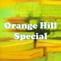 Orange Hill Special strain