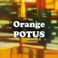 Orange POTUS strain
