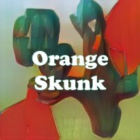 Orange Skunk strain