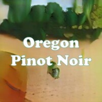 Oregon Pinot Noir strain