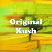 Original Kush strain