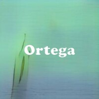 Ortega strain
