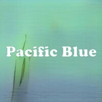 Pacific Blue strain