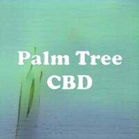 Palm Tree CBD strain