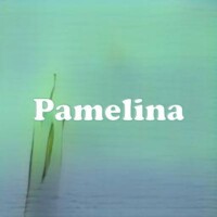Pamelina strain