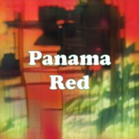 Panama Red strain
