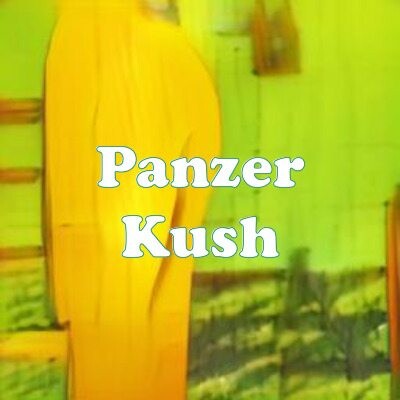 Panzer Kush strain