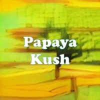 Papaya Kush strain