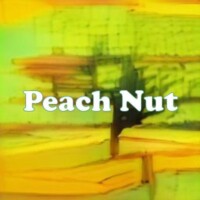 Peach Nut strain