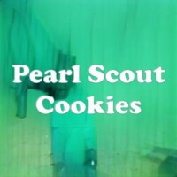 Pearl Scout Cookies strain