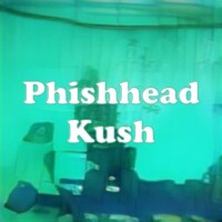 Phishhead Kush strain