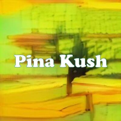 Pina Kush strain