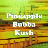 Pineapple Bubba Kush strain