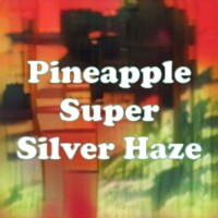 Pineapple Super Silver Haze strain