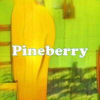 Pineberry strain