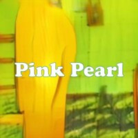 Pink Pearl strain