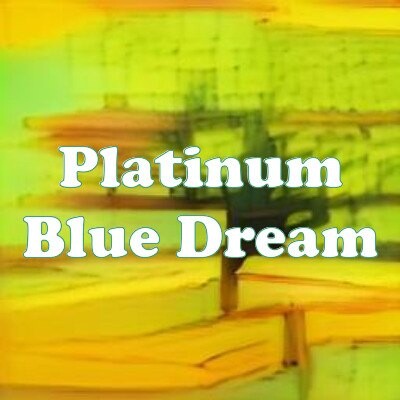 Platinum Blue Dream strain