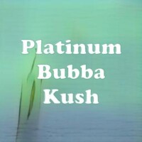Platinum Bubba Kush strain