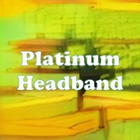 Platinum Headband strain