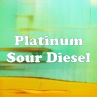 Platinum Sour Diesel strain
