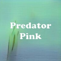 Predator Pink strain