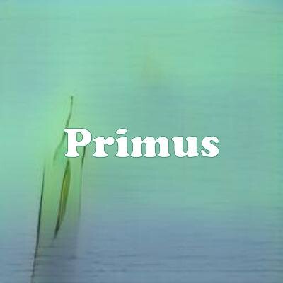Primus strain