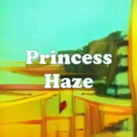 Princess Haze strain