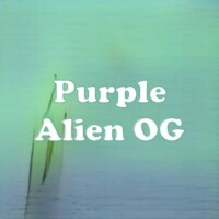 Purple Alien OG strain