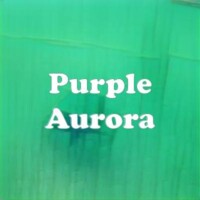 Purple Aurora strain