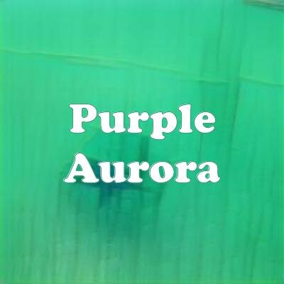 Purple Aurora strain