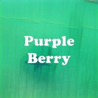 Purple Berry strain