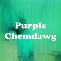 Purple Chemdawg strain