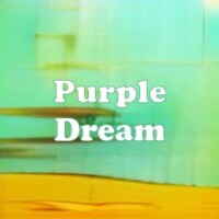 Purple Dream strain